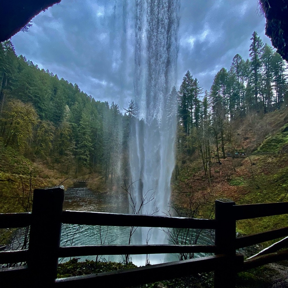 Sale for @ce_shepherd